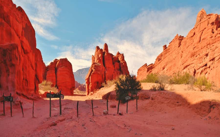 From Salta: Full-day excursions through Cafayate and Cachi - Two days, two very different sides of Salta