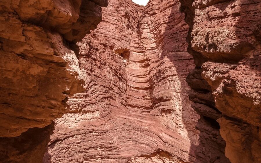 From Salta: Full-day excursions through Cafayate and Cachi - How good is the English guiding?