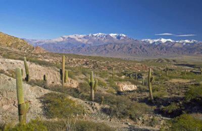 Full-Day Scenic Tour to Cachi