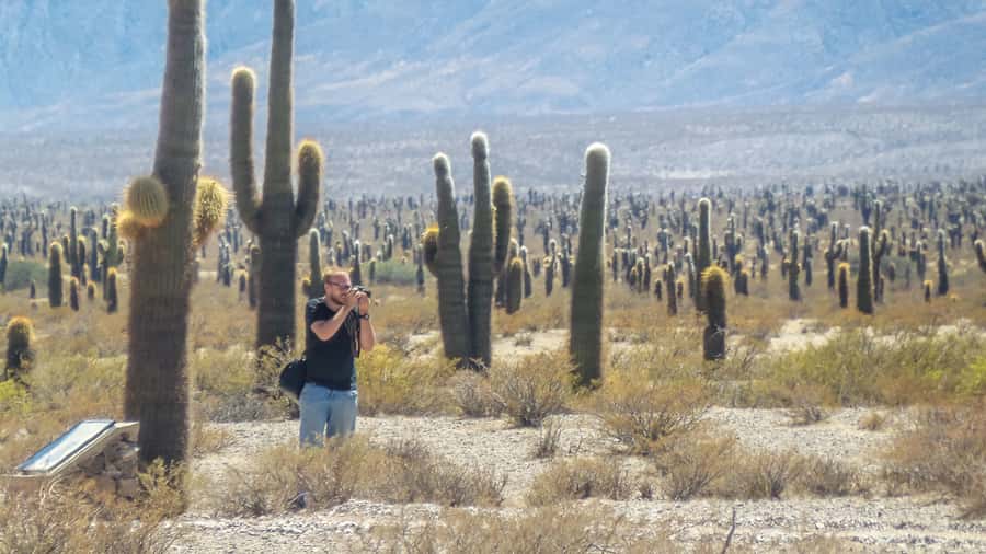 From Salta: Full-Day Scenic Tour to Cachi - Los Cardones National Park and its tall cactus