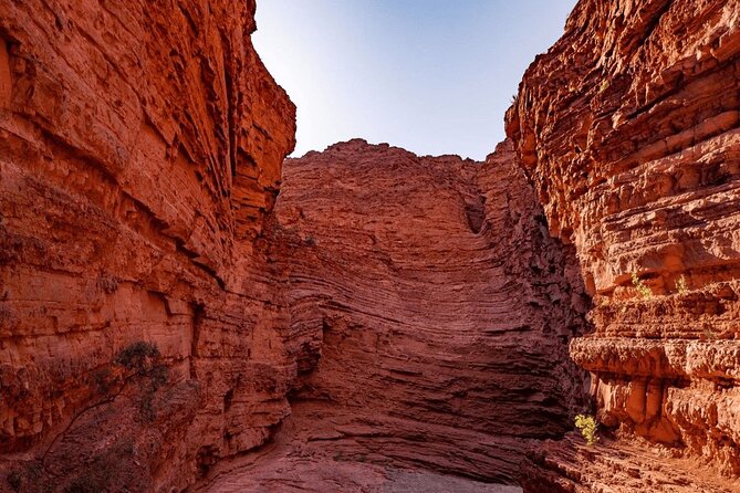 From Salta: Full-Day Tour to Cafayate, Land of Wines - What the Cafayate stop really offers