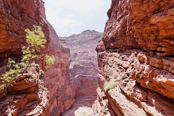 From Salta: Full-Day Tour to Cafayate, Land of Wines - The winery visit and language question