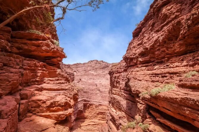 From Salta: Full-Day Tour to Cafayate, Land of Wines - Who should book this Salta to Cafayate day trip?