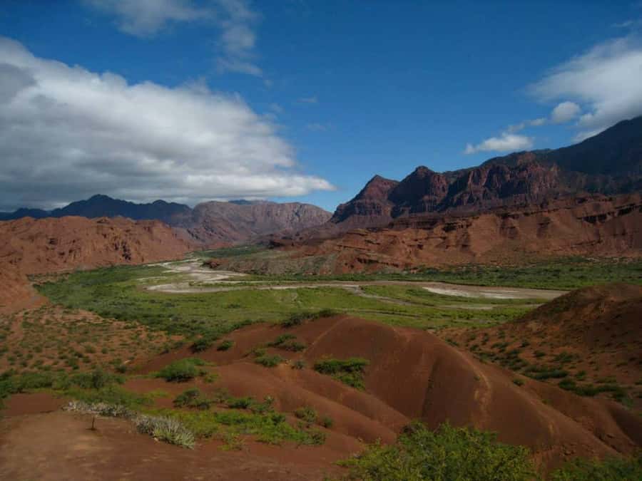 From Salta: Full-Day Tour to Cafayate with Wine Tasting - The road from Salta to Cafayate