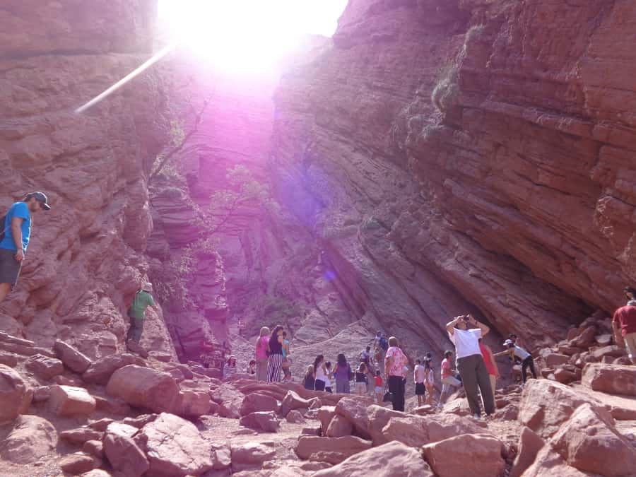 From Salta: Full-Day Tour to Cafayate with Wine Tasting - Why the guide matters on this route