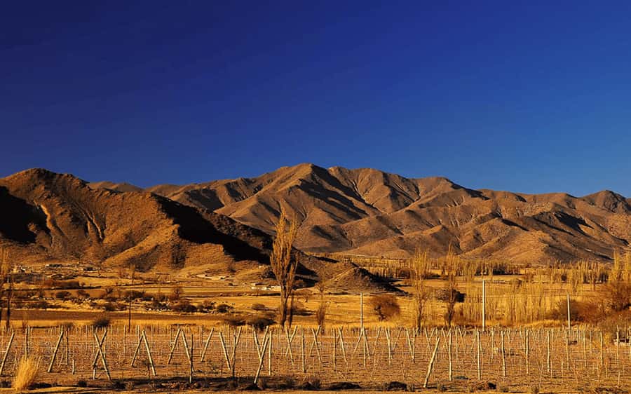 From Salta: Full-Day Tours of Cachi and Salinas Grandes - What the long hours mean in real terms