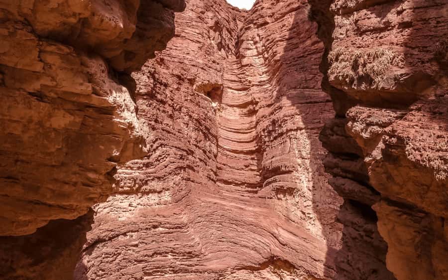 From Salta: Full-Day Tours of Cafayate and Salinas Grandes - Who will enjoy this two-day combination