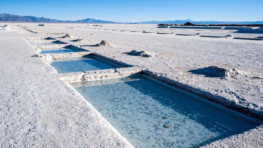 From Salta: Full-Day Trip to Salinas Grandes and Purmamarca - The Cuesta de Lipan and the climb to 4,100 meters