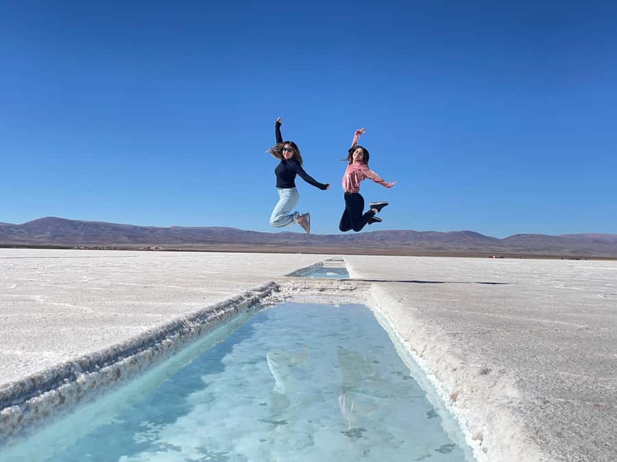From Salta: Great Salt Flats Day Tour - Route 40 toward Salinas Grandes