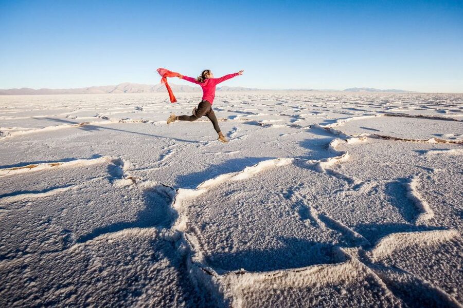 From Salta: Great Salt Flats Day Tour - The white expanse of Salinas Grandes