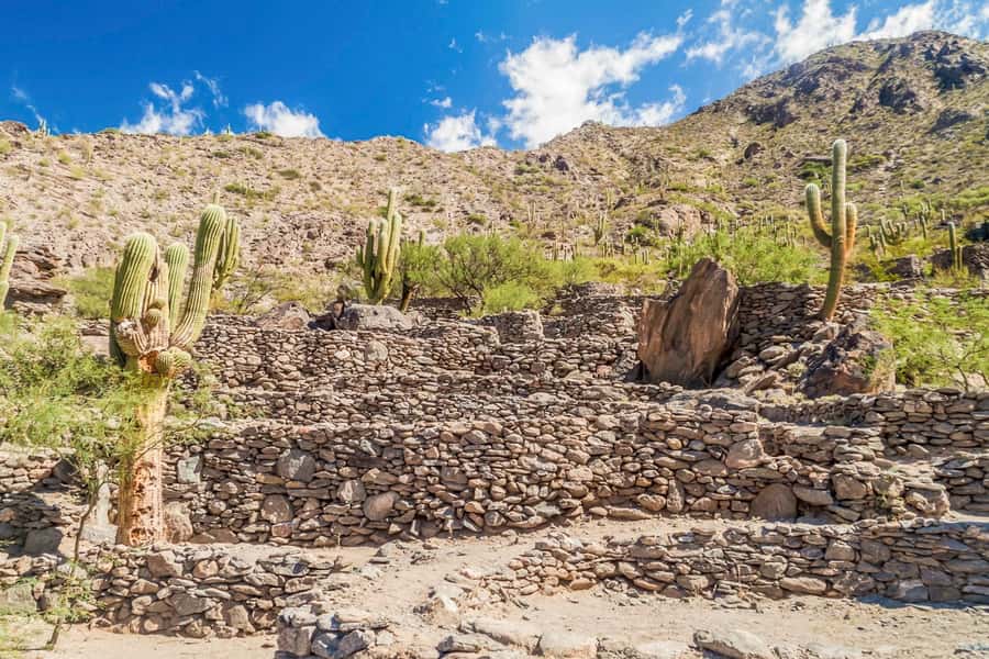 From Tucumán: Tafí del Valle, Quilmes Ruins and Cafayate - Why this 12-hour route is worth considering
