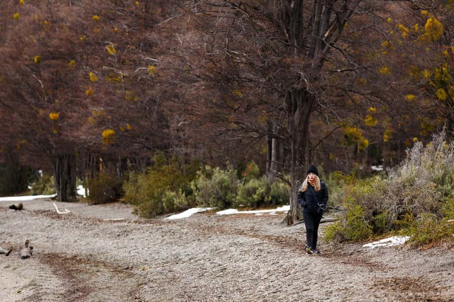 From Ushuaia: Discover Tierra del Fuego National Park - Who should book this Tierra del Fuego tour?