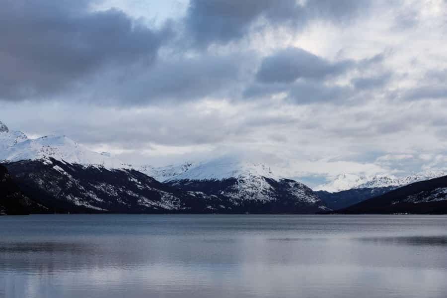 From Ushuaia: Discover Tierra del Fuego National Park - Why this park is worth your half-day