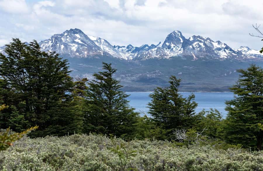 From Ushuaia: Discover Tierra del Fuego National Park - Price, park fee, and overall value