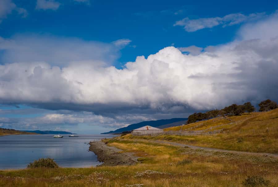 From Ushuaia: Penguin Watching Tour by Catamaran - Five hours can become longer