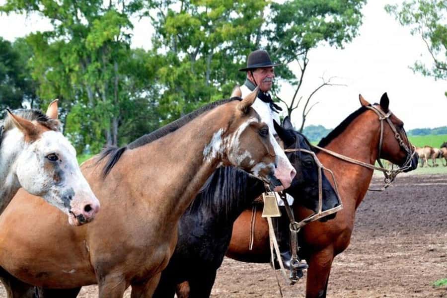Full-Day at Santa Susana Ranch with BBQ, Drinks and Show - Boleadoras and the skills of the gauchos