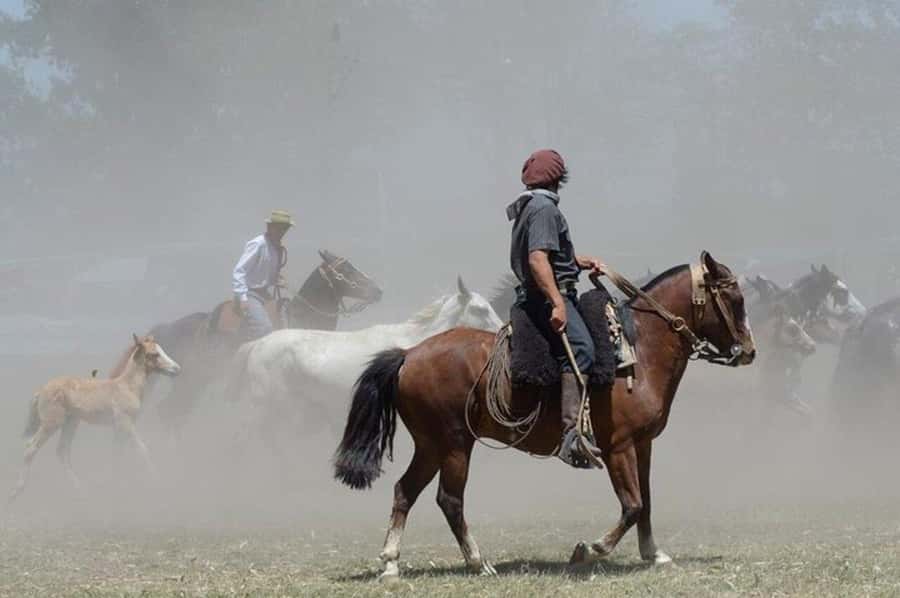 Full-Day at Santa Susana Ranch with BBQ, Drinks and Show - What the $595 price really covers