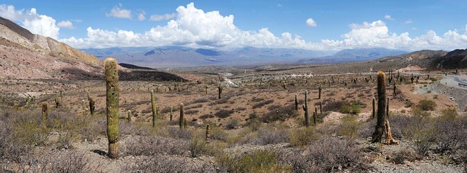 Full-day Cachi and Los Cardones National Park from Salta - The road from Salta changes by the hour