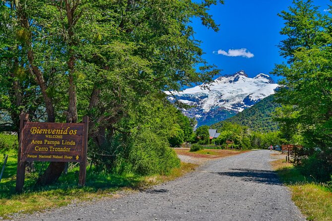 Full Day Cerro Tronador: Eternal Snow and Hanging Glaciers - Vuriloches Valley and the road through the forest