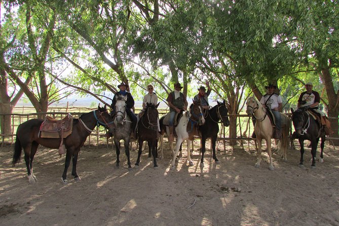 Full day ride at the foot of The Andes - Riverside asado and Mendoza wine