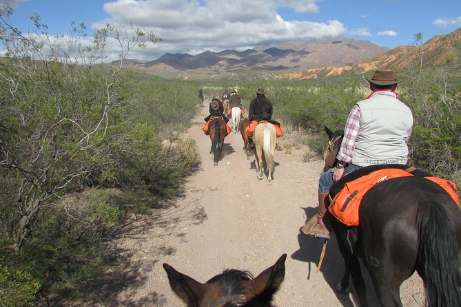 Full day ride at the foot of The Andes - What the $208.47 price really buys