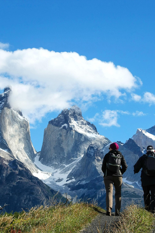 Full-Day Torres del Paine National Park from El Calafate - Grey Glacier, Puente Weber, and the park’s changing views