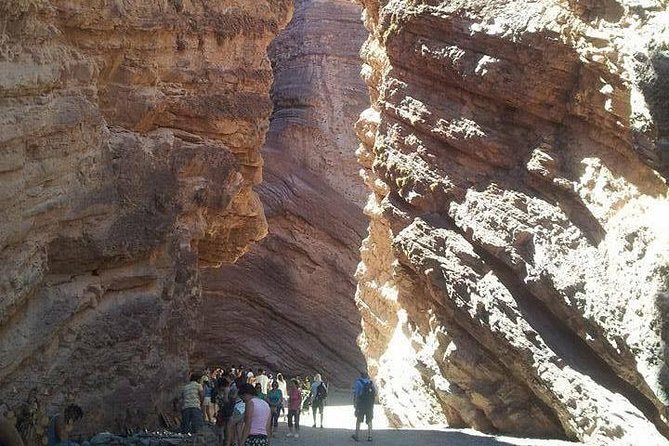 Full-Day Tour Cafayate Calchaqui Valleys with Wine - The long road from Salta to Cafayate
