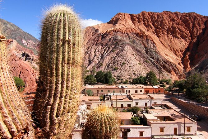Full-Day Tour to Salinas Grandes and Purmamarca From Salta - The long return to Salta