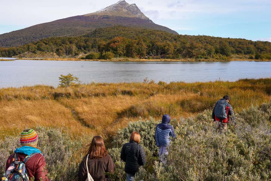 Full Day Trip to Tierra del Fuego National Park - Key points to know before booking