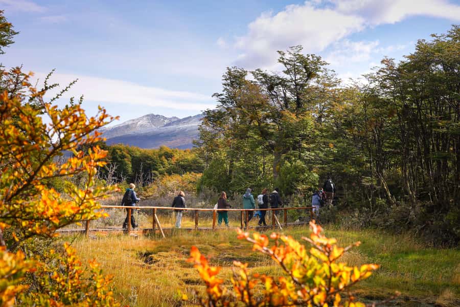 Full Day Trip to Tierra del Fuego National Park - A full day in Tierra del Fuego, without rushing the park