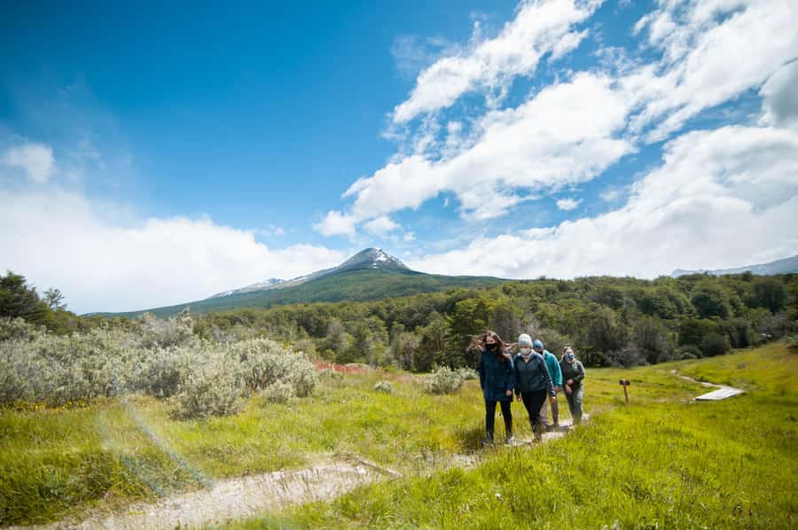 Full Day Trip to Tierra del Fuego National Park - Walking the Pampa Alta and Ensenada paths