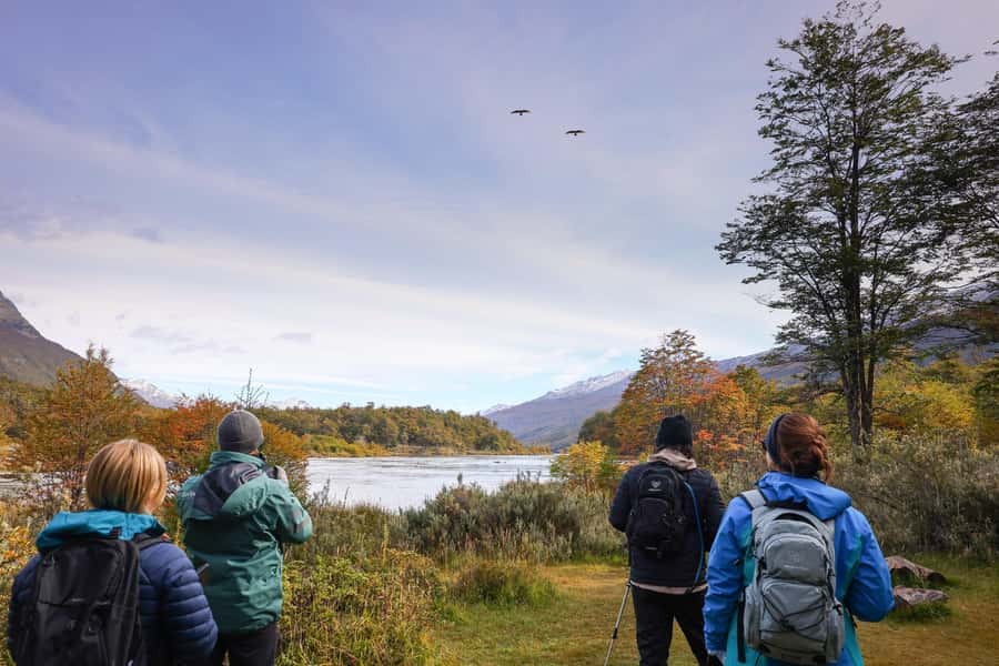 Full Day Trip to Tierra del Fuego National Park - Roca Lake, the Turbal trail, and lunch in the forest
