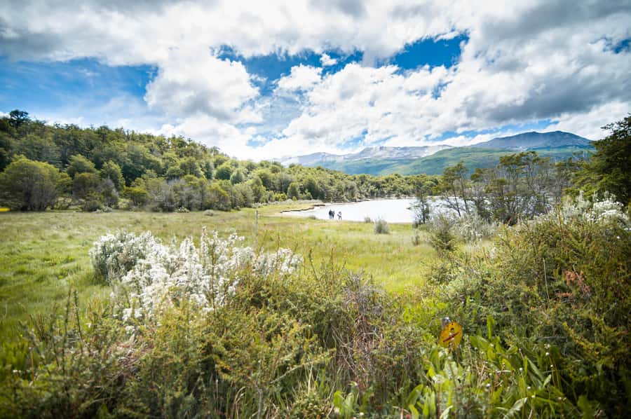 Full Day Trip to Tierra del Fuego National Park - Entering the park along National Route 3