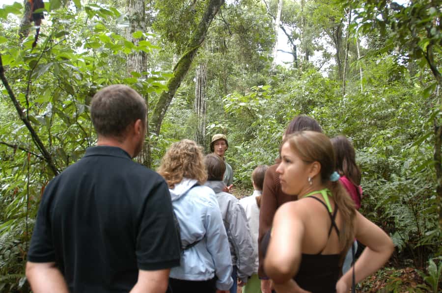 Half-Day Iguazú Forest Adventure - At a glance