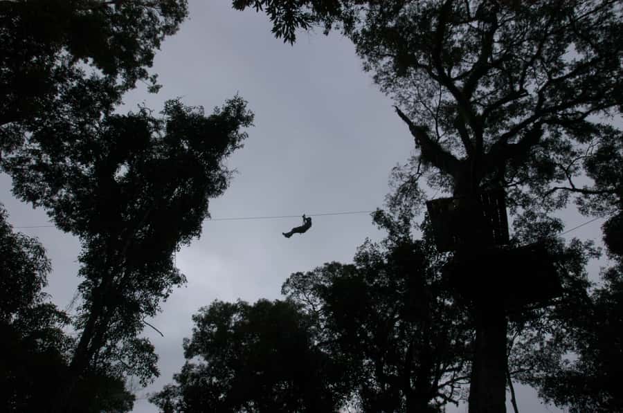 Half-Day Iguazú Forest Adventure - Rappelling into the Selva Misionera