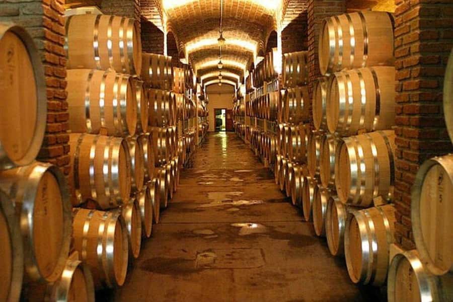 Half Day Tour of Wineries and Olive Oil from Mendoza - From downtown Mendoza to Maipú’s small producers