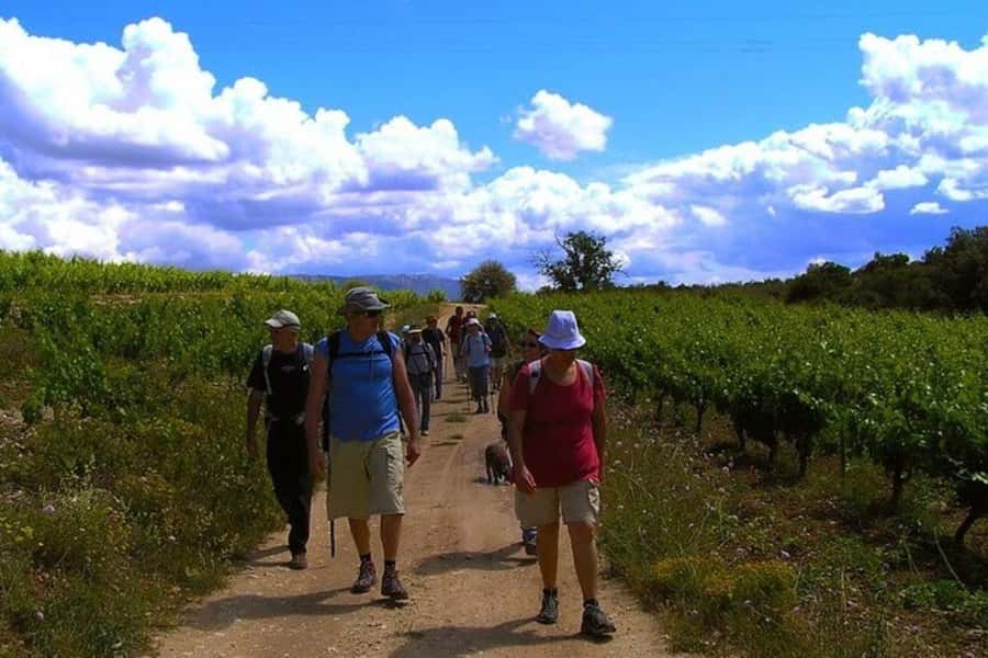 Half Day Tour of Wineries and Olive Oil from Mendoza - The olive oil factory adds a useful second flavor