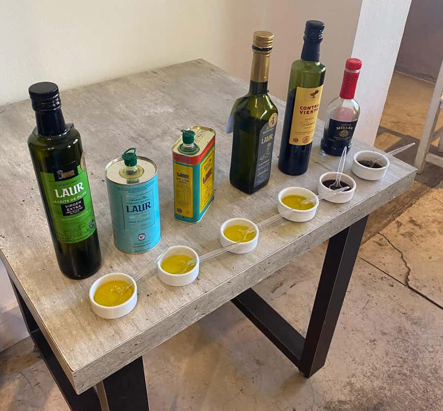 Half Day Tour of Wineries and Olive Oil from Mendoza - What the $80 price really covers