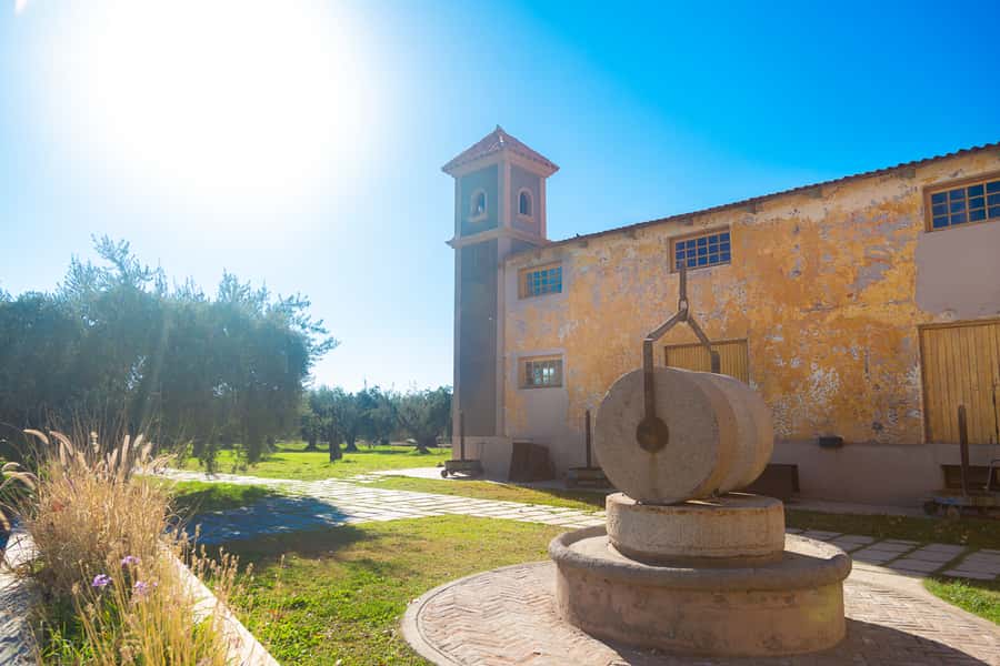 Half Day Tour of Wineries and Olive Oil from Mendoza - Who will enjoy this tour most