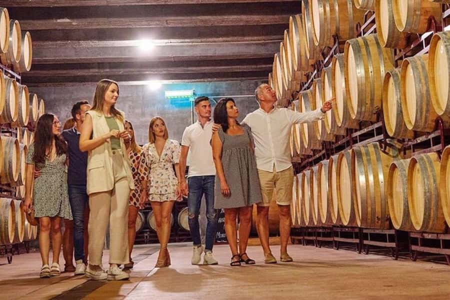 Half Day Tour of Wineries and Olive Oil from Mendoza - The second winery: compare two local approaches