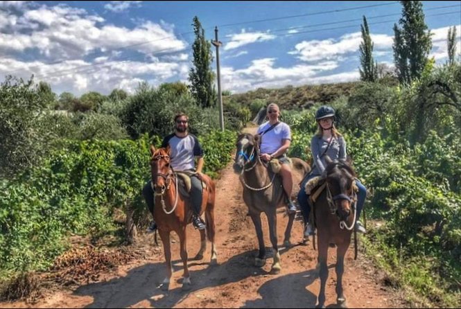 Horseback ride through vineyards followed by gourmet lunch - Meeting the gauchos and choosing your pace