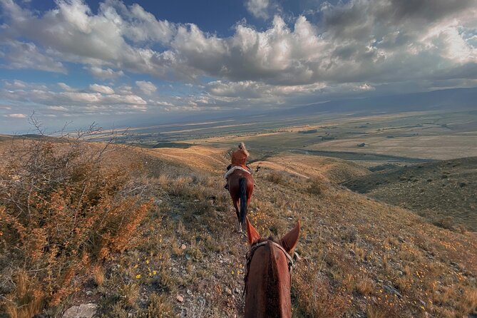 Horseback riding and barbecue in a private ranch - La Carrera, Mendoza - Riding Creole horses above the valley