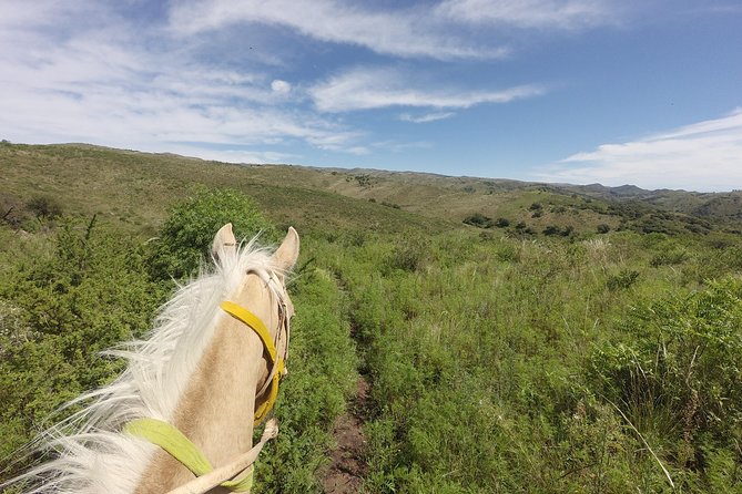 Horseback riding through the Sierras - Meeting the horses and Salvador