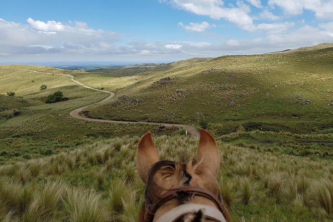 Horseback riding through the Sierras - Who will enjoy this most
