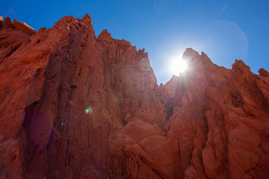 Humahuaca Valley Multicultural Tour from Salta - Uquía and the San Francisco de Paula church