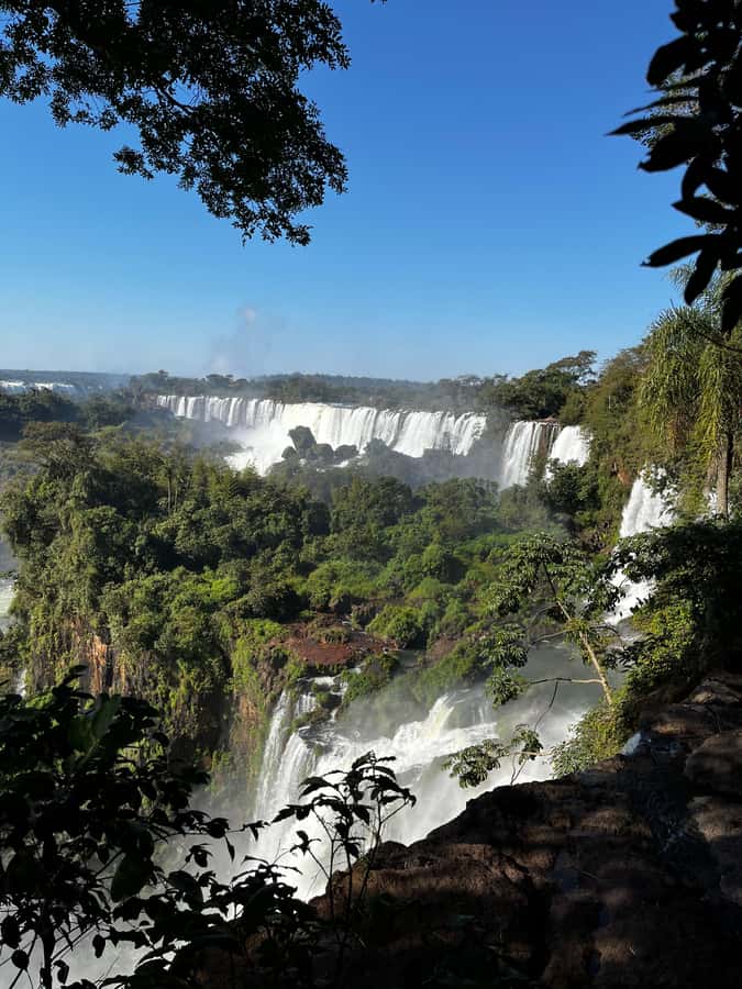 Iguassu Falls: Private Tour Argentina side - The ecological train through the rainforest