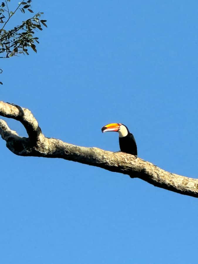 Iguassu Falls: Private Tour Argentina side - Reaching Devil’s Throat