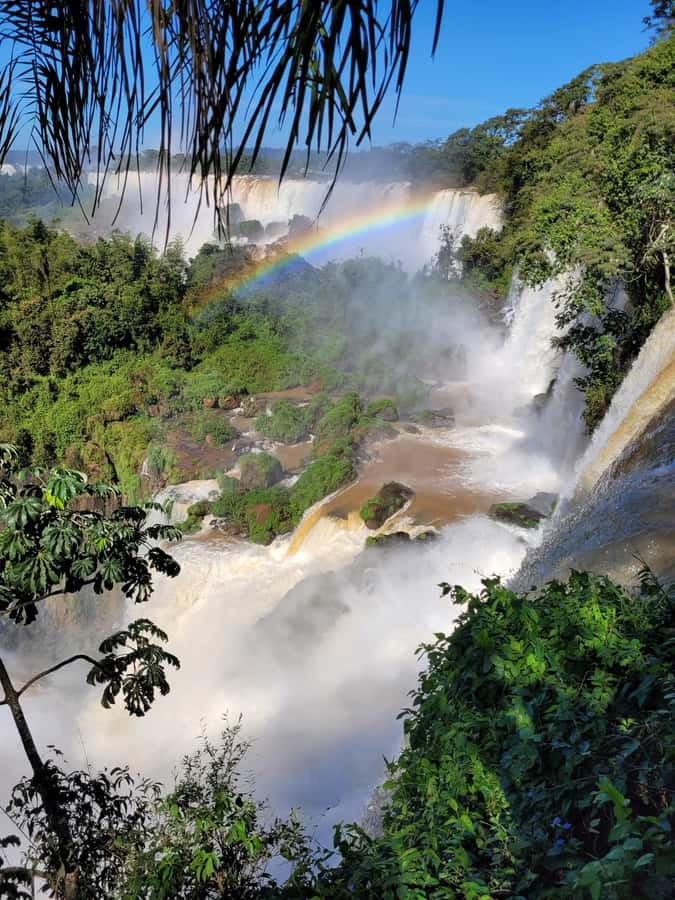 Iguazu Falls: Guided Tour in Argentinean Side - The Lower Trail brings the spray