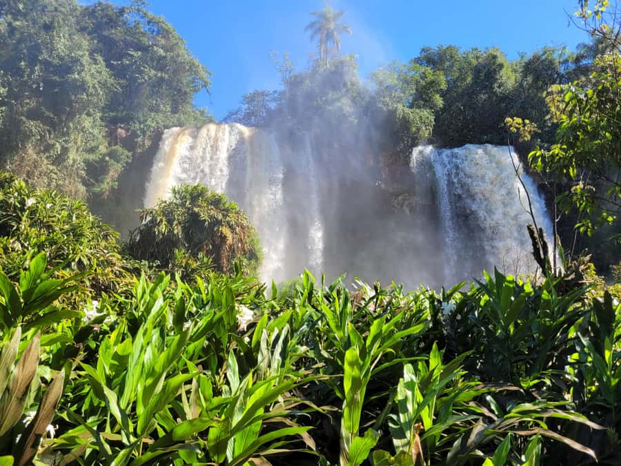 Iguazu Falls: Guided Tour in Argentinean Side - The private guide is the main advantage