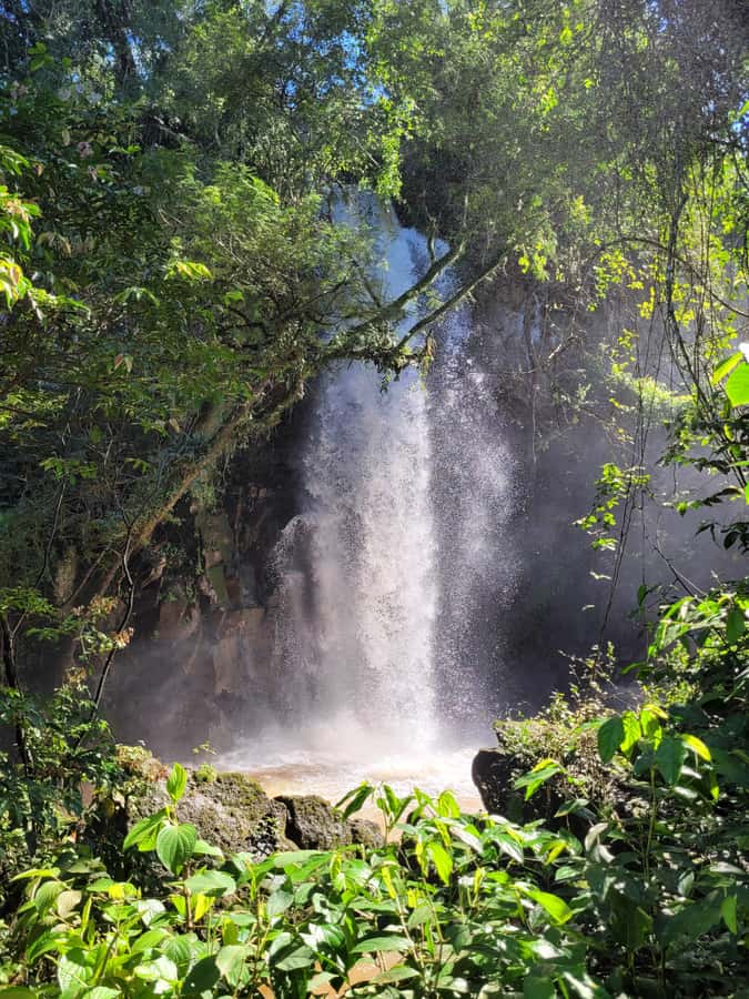 Iguazu Falls: Guided Tour in Argentinean Side - Who should book, and who should think twice?